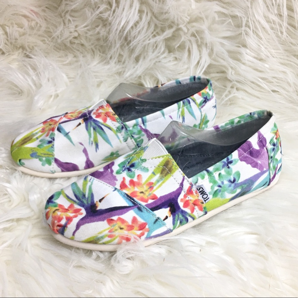 TOMS